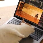 Our cat Jamón pawing at mouse videos on laptop computer